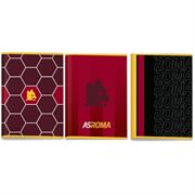 MAXI ROMA 1 RIGO