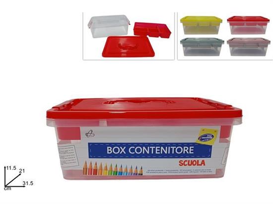 BOX CONTENITORE 31x21X11cm C/VASCHETTA