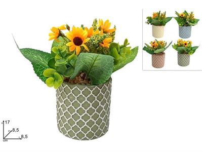PIANTINA GIRASOLE C/VASO FANTASIA