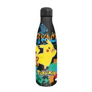 BORRACCIA POKEMON