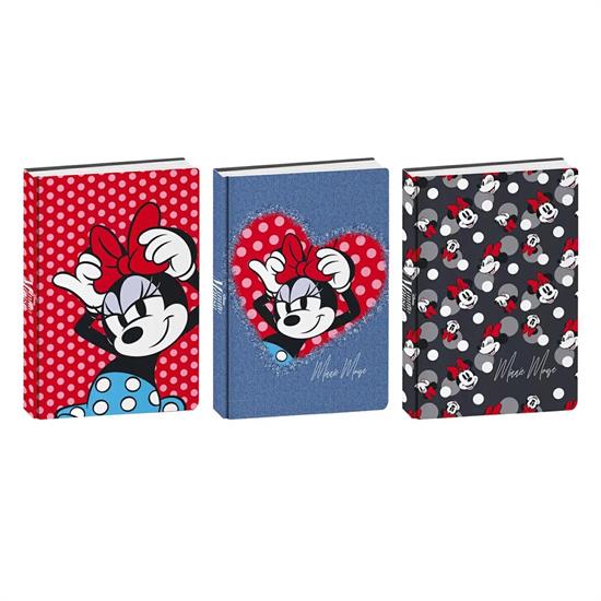DIARIO MINNIE