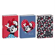 DIARIO MINNIE