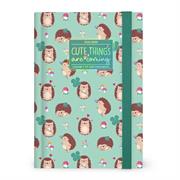AGENDA 2025/2026 16mesi DAY HEDGEHOG 18x12 LEGAMI