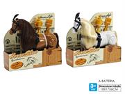 CAVALLO B/O C/ACCESSORI