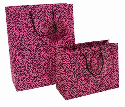 SHOPPER ROAR 23x10x18