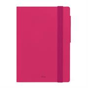 AGENDA 2026 12mesi DAY RASPBERRY 9,5x13,5 LEGAMI