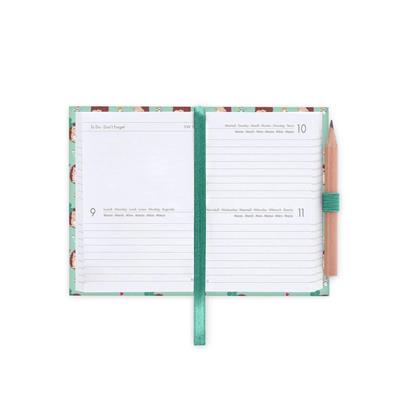 AGENDA 2026 12mesi 2-DAY HEDGEHOG 6,5x10 LEGAMI
