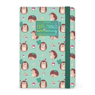 AGENDA 2026 12mesi DAY HEDGEHOG 12x18 LEGAMI