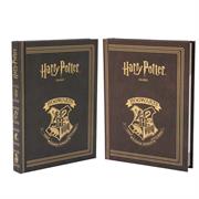 DIARIO HARRY POTTER STD