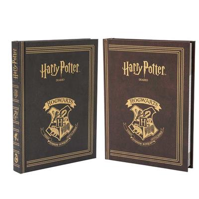 DIARIO HARRY POTTER STD
