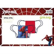 SACCA SPIDERMAN