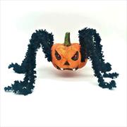 RAGNO PICCOLO ZUCCA