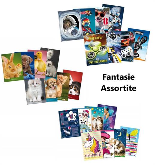 MAXI BLASETTI 40ff 4mm C/MARGINE rig.4F 10pz ASS.