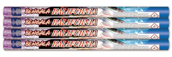 BENGALA KALIFORNIA 4pz 30cm