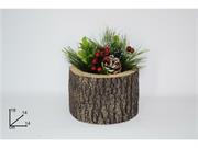 PIANTA NATALE INNEVATA C/VASO POLISTIROLO