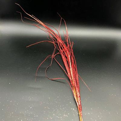 STELO FILI GLITTER ROSSO   .m