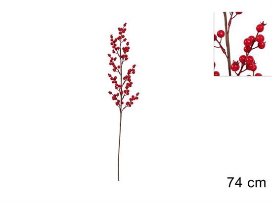 STELO BACCHE/MELOGRANO 74cm