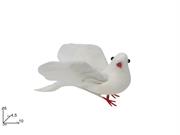 COLOMBA PICCOLA 12cm