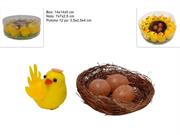 BOX 12 PULCINI CON NIDO