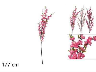 RAMO FIORI PESCO 177cm COL.ASS.