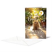 BIGLIETTO COMPLEANNO C/ROTELLA GATTINO 1-9 ANNI