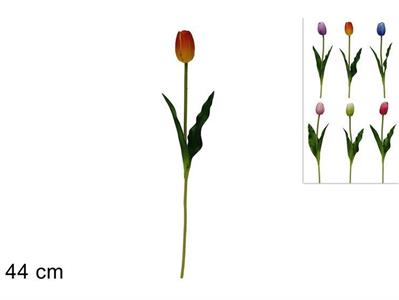 STELO TULIPANO COL.ASS.
