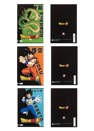 MAXI DRAGONBALL Q