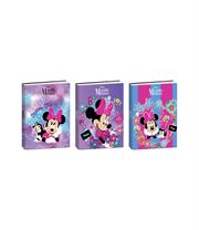DIARIO MINNIE