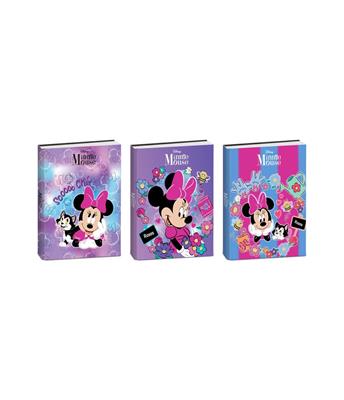 DIARIO MINNIE