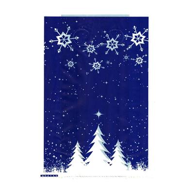 SHOPPERS NATALE 30+12x50 50pz BLU C/PAESAGGIO